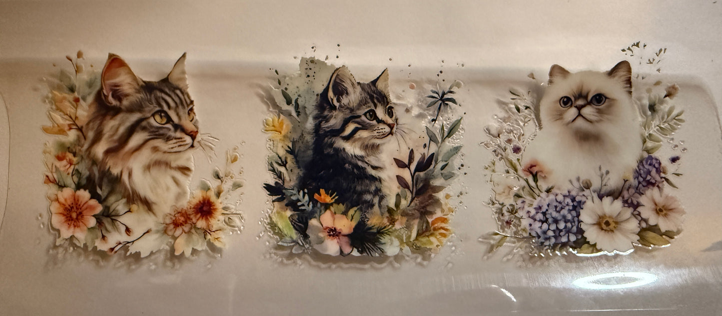 Cat #5