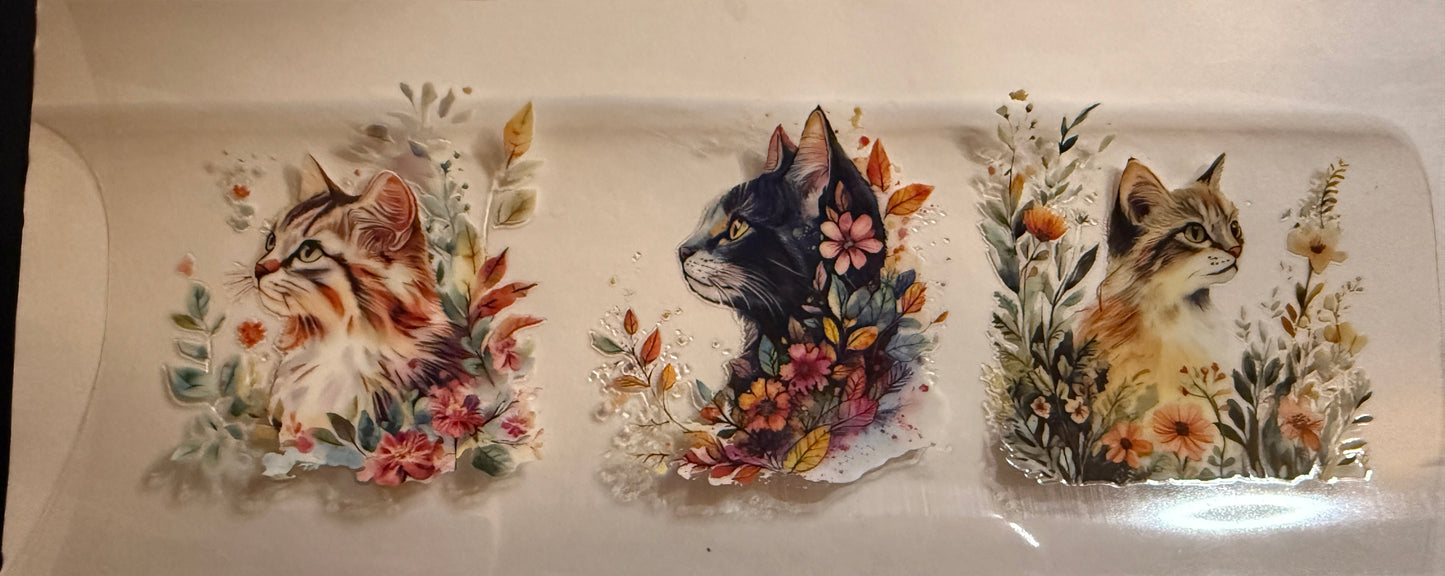 Cat #4