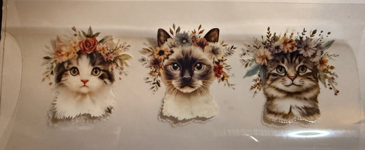 Cat #7