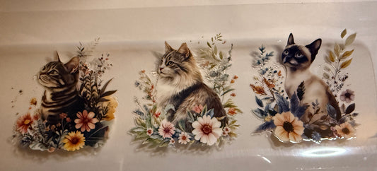 Cat #1