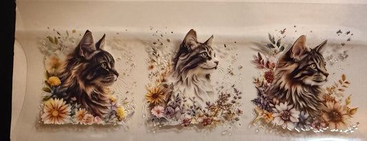 Cat #3