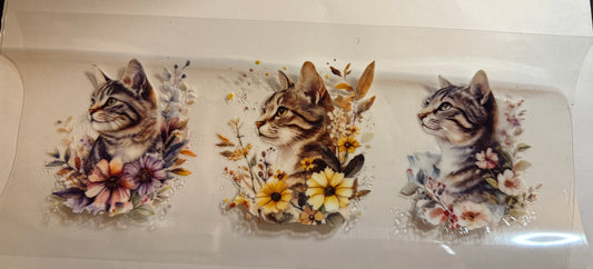 Cat #9