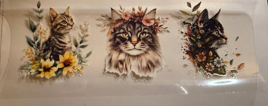Cat #8
