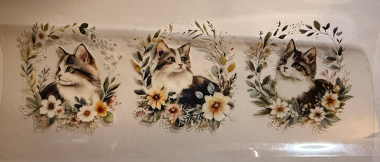 Cat #2